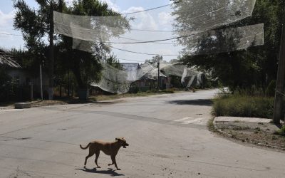 Ucrainenii, speriați de noi atacuri după armistițiu: „Pace, NU pauze”