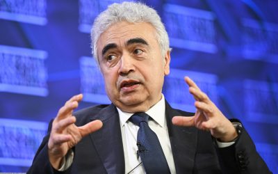 Europa, în criză de combustibil: „Mai avem șase săptămâni”, avertizează Șeful AIE