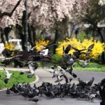 Cum va fi vremea duminică, 19 aprilie 2026? Prognoza meteo pentru România