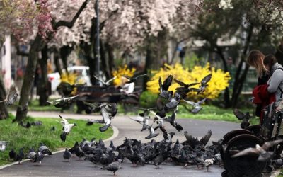 Cum va fi vremea duminică, 19 aprilie 2026? Prognoza meteo pentru România