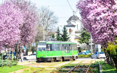 Societatea de Transport București (STB) a anunțat programul mijloacelor de transport public pentru perioada Paștelui 2026, oferind informații detaliate pentru călătorii din Capitală