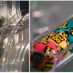 Jokerul urcă la 12,68 milioane €! Loto 6/49, un jackpot de peste 3 milioane €