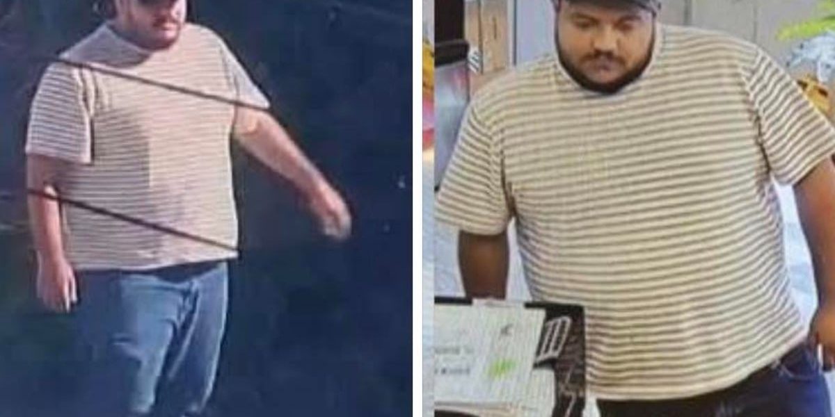 Românul Ion Miclescu, eliberat pe cauțiune de 250.000 dolari. Recompensa: 50.000 dolari