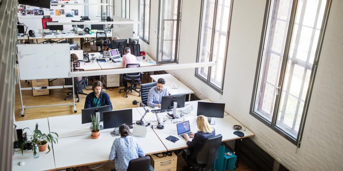 Liberalii vor o nouă zi liberă legală pentru români