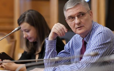 Dăianu: Românii, la cumpătare! Evităm recesiunea, dar cu „noroc”