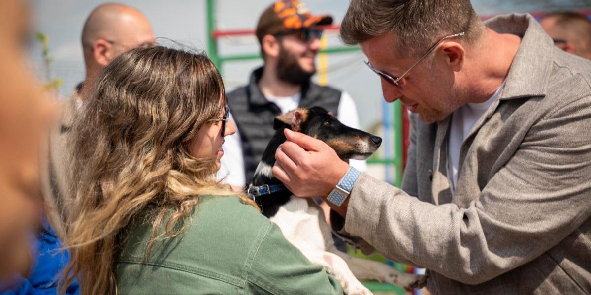 Adopții canine în Ilfov: Animalele vor o familie, nu un adăpost