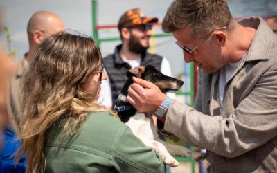 Adopții canine în Ilfov: Animalele vor o familie, nu un adăpost