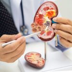 Ce ascund analizele medicale despre sănătatea rinichilor