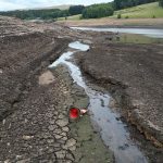 Căldură EXTREMĂ: Umanitatea, în pericol. Planeta se pregătește de noi valuri