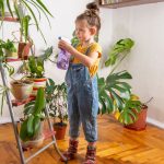 Plantele din casă: Pericol ascuns pentru copii. Ce riscă micuții