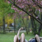 Vreme de primăvară: Temperaturi de 21 grade și unde va ploua