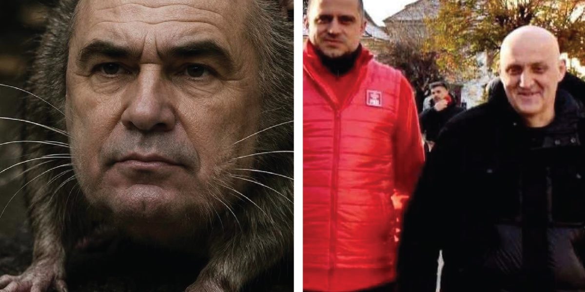 Disonanța cognitivă: Cum funcționează creierul în situații limită