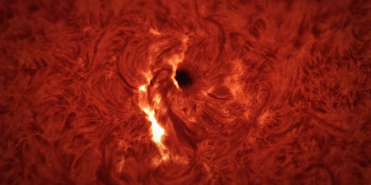 Sunetul erupției solare: O experiență înfricoșătoare, dezvăluie ScienceAlert