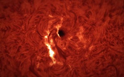 Sunetul erupției solare: O experiență înfricoșătoare, dezvăluie ScienceAlert