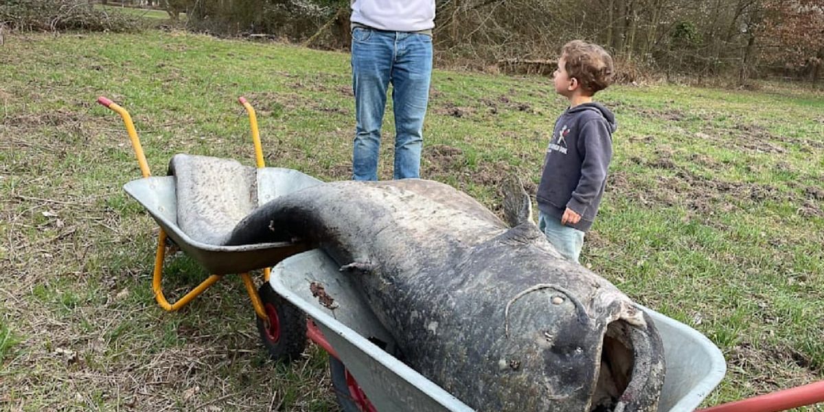 Somnul GIGANTIC din Germania: Vechea legendă, confirmată!