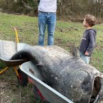 Somnul GIGANTIC din Germania: Vechea legendă, confirmată!