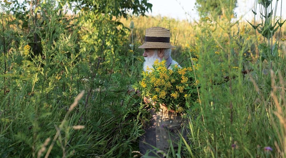 Ștefan Câlția expune la Sibiu: Recurența motivelor artistice