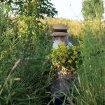 Ștefan Câlția expune la Sibiu: Recurența motivelor artistice