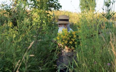 Ștefan Câlția expune la Sibiu: Recurența motivelor artistice