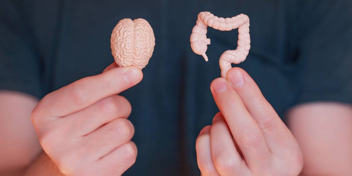 Stresul Sărbătorilor, Dușmanul Digestiei: Cum Ne Afectează Apetitul?