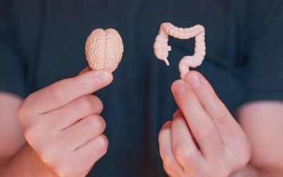 Stresul Sărbătorilor, Dușmanul Digestiei: Cum Ne Afectează Apetitul?