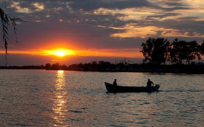 Un studio plutitor atrage tinerii britanici: Arta pe apă