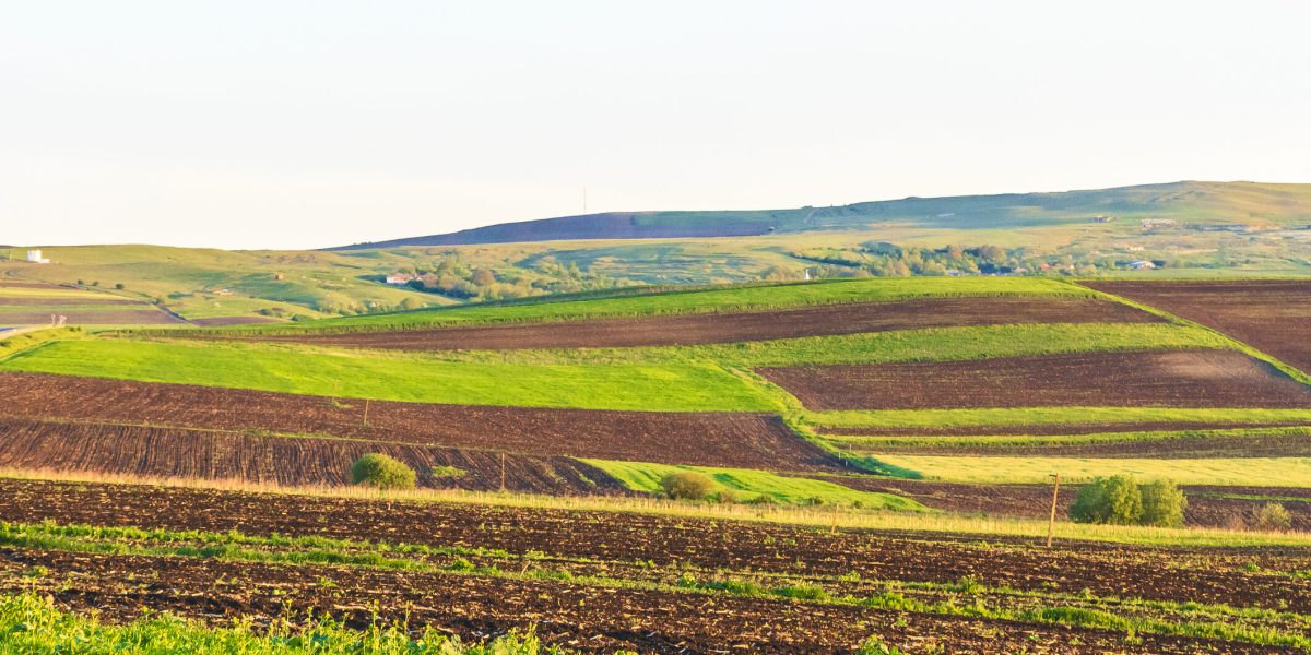 Arendă 2026: Ce drepturi și obligații au fermierii și proprietarii