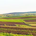 Arendă 2026: Ce drepturi și obligații au fermierii și proprietarii