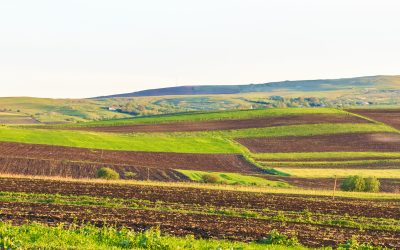 Arendă 2026: Ce drepturi și obligații au fermierii și proprietarii