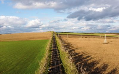 Abuz de teren: Riscul proceselor și al sancțiunilor în România