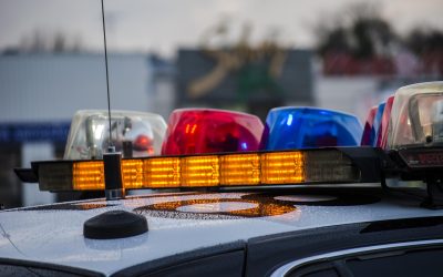Majoritatea copiilor uciși, ai suspectului. Detalii șocante