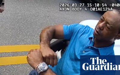 VIDEO ANT: IMAGINI DE LA ARESTAREA LUI TIGER WOODS ÎN URMA UNUI ACCIDENT RUTIER Imagini șocante de la arestarea legendarului golfer, TIGER WOODS, în urma unui accident rutier din Florida, au fost date publicității