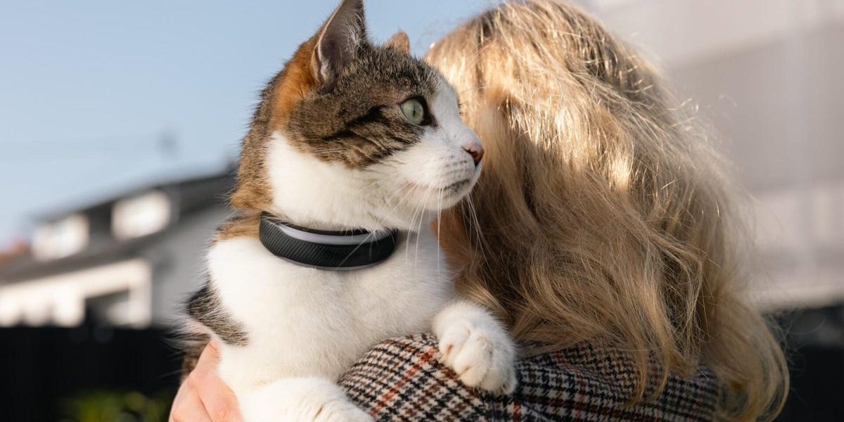 Compania Tractive lansează zgărzile inteligente pentru animalele de companie, cu accent pe monitorizarea stării de sănătate și localizare GPS Compania Tractive își propune să revoluționeze îngrijirea animalelor de companie prin lansarea unor zgărzi inteligente, echipate cu funcții avansate de monitorizare a stării de sănătate și localizare GPS