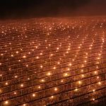 Fermă din Cluj, soluție șocantă anti-îngheț: A dat foc la 40.000 de euro