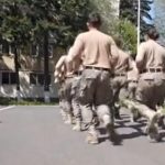 EXCLUSIV: Unde se antrenează „armata voluntarilor” plătiți cu 4.000 de lei?