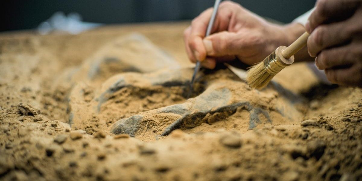 Mormânt antic, uluitor în EGIPT: Mumii cu „limbi” de AUR și artefacte rare