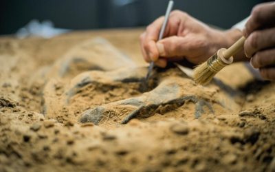 Mormânt antic, uluitor în EGIPT: Mumii cu „limbi” de AUR și artefacte rare