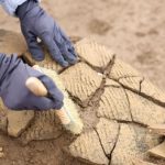 Ruine Romane Sub Frankfurt: Ritualuri Șocante? Arheologii Fac Dezvăluiri Uimitoare