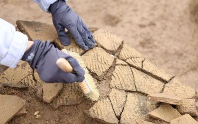 Ruine Romane Sub Frankfurt: Ritualuri Șocante? Arheologii Fac Dezvăluiri Uimitoare