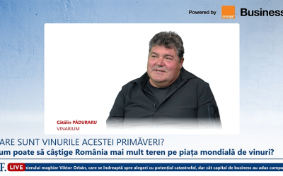 Vinarium: Ce surprize aduce ediția din acest an a concursului internațional?