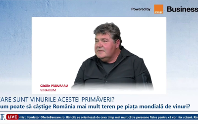 Ce vinuri românești alegem de sărbători? Cătălin Păduraru, expert Vinarium, ne spune!