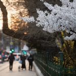 Schimbare majoră: Vremea se încălzește drastic din săptămâna viitoare