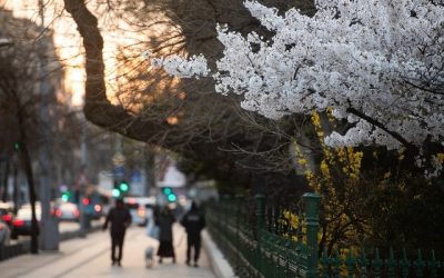 Schimbare majoră: Vremea se încălzește drastic din săptămâna viitoare