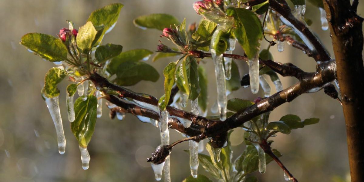 Vremea se schimbă radical: frig, ploi și ninsori în preajma Paștelui Bucurie slabă pentru cei care sperau la o primăvară timpurie