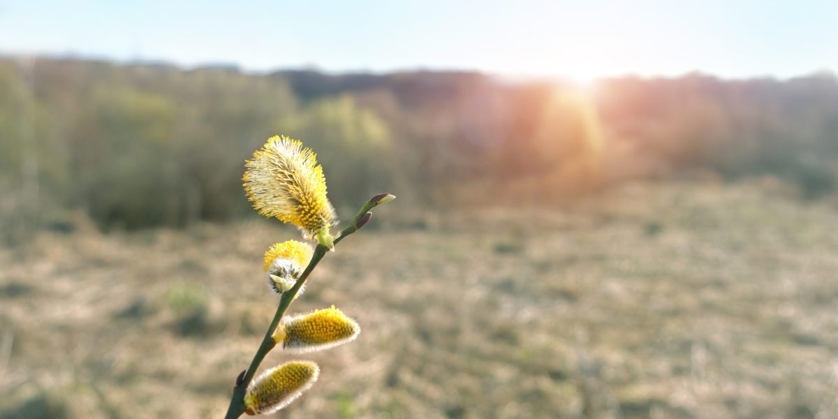 Vremea se schimbă radical: Zilele călduroase fac loc frigului și ploilor Atenție, români! Vremea se va răci semnificativ în următoarele două săptămâni, potrivit prognozelor meteo
