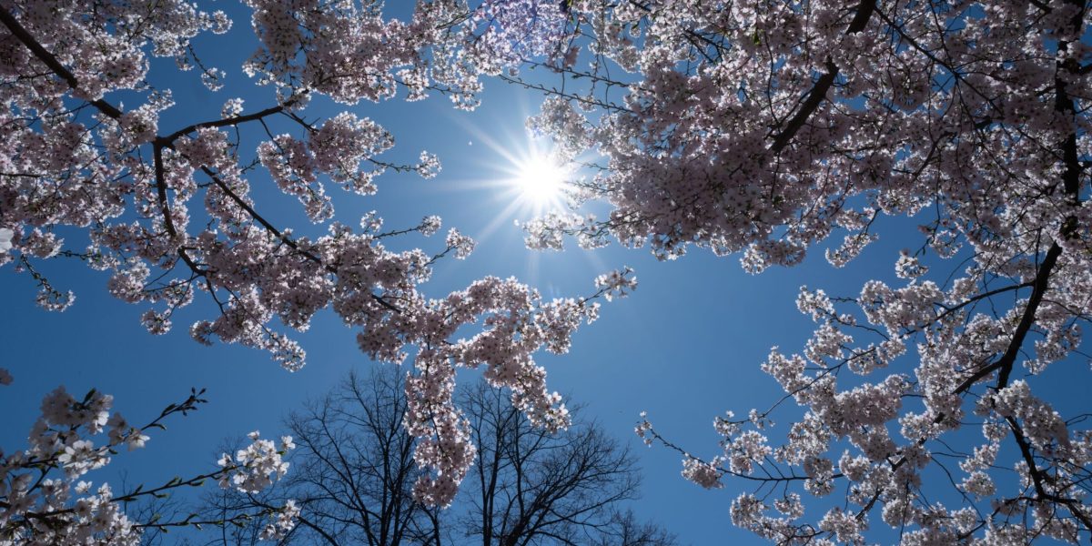 Cum va fi vremea de 1 Mai? Meteorologii au făcut anunțul