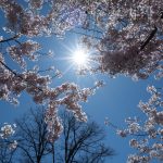 Cum va fi vremea de 1 Mai? Meteorologii au făcut anunțul