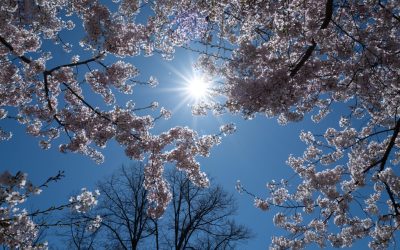 Cum va fi VREMEA: Caniculă sau ploi în România și Europa