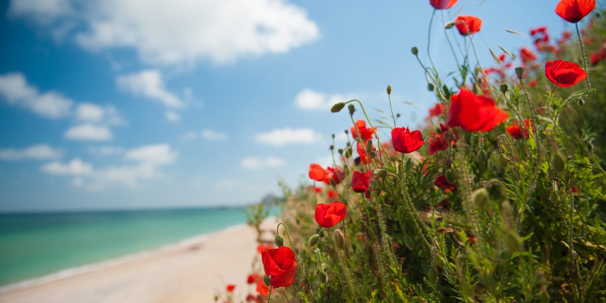 Vremea nebună dă iama: Unde ninge de 1 Mai în România și Europa