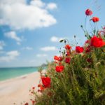 Vremea nebună dă iama: Unde ninge de 1 Mai în România și Europa